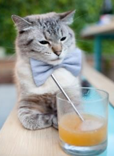 “未来科技:碳中和赛车点燃速度新革命”,碳中和万亿赛道