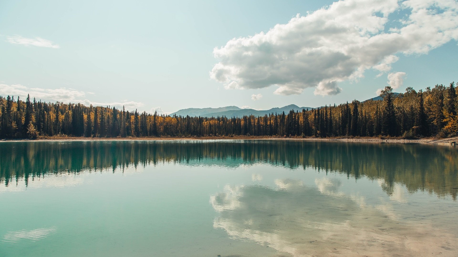 AYX体育官网-《Rookie：Interview获赞新一代最具潜力中单》，rookie最强是哪个赛季