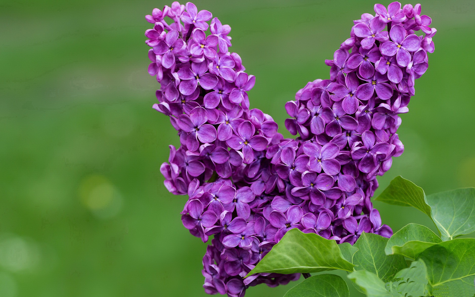 爱游戏app下载-全国登山竞赛，攀登高峰的勇气考验，2021登山比赛