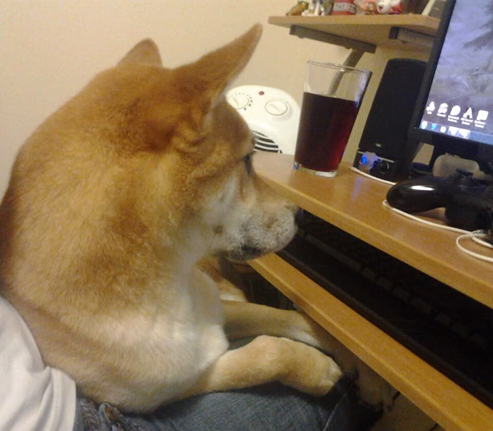 爱游戏娱乐平台-普拉提教练薪资水平提升，吸引更多从业者，普拉提教练好找工作吗