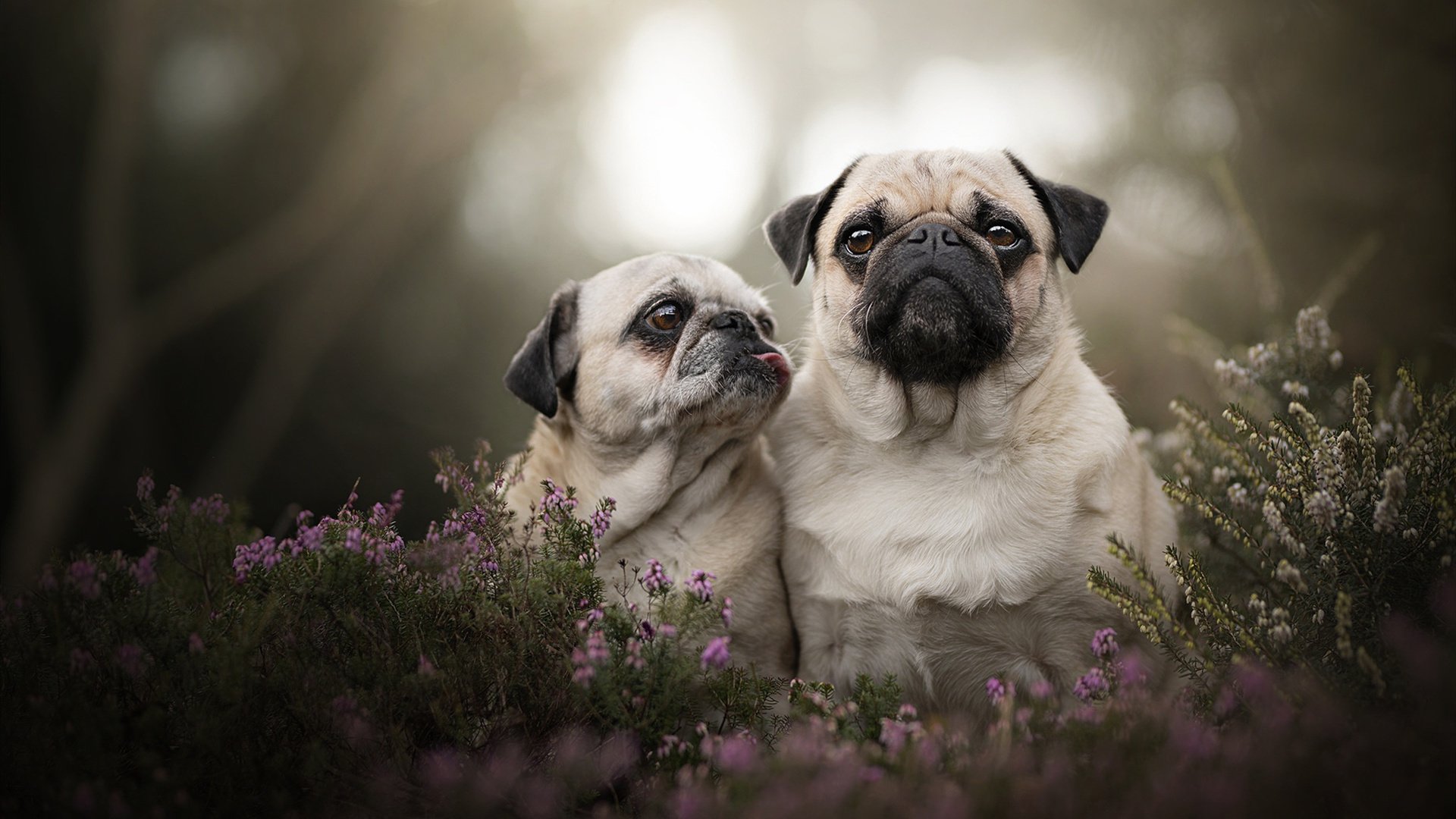 AYX GAMING-经典案例：某场战役中的战术变化分析，经典案例_某场战役中的战术变化分析为