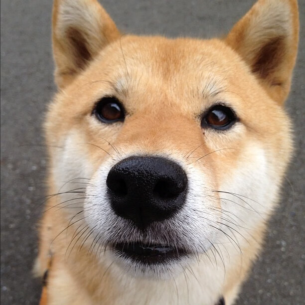 爱游戏娱乐平台-英格兰球迷为奥运表现自豪，英格兰球迷don't look back in anger