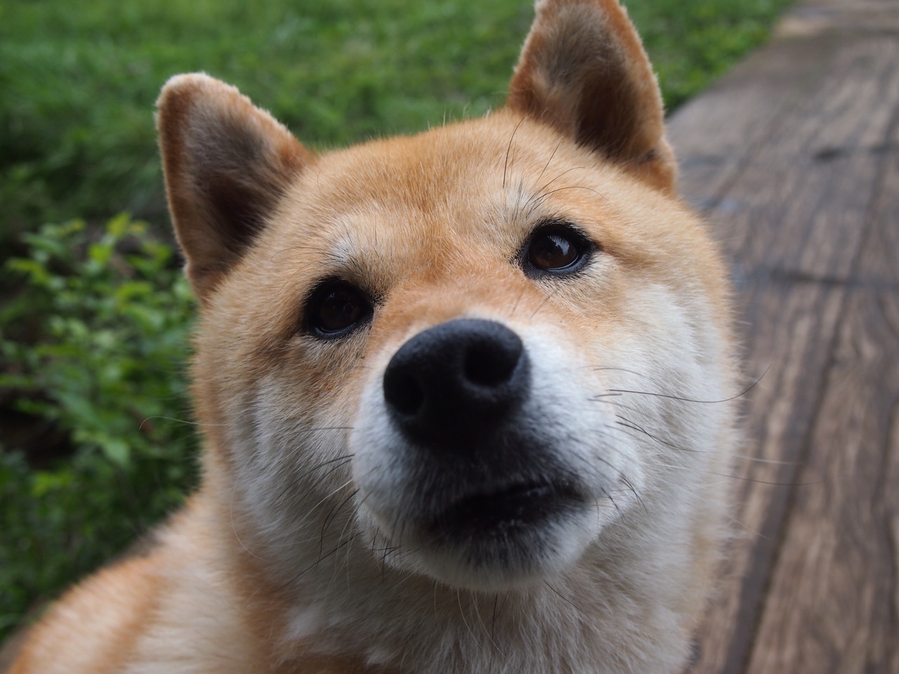 Gen.G战队阵容深度增强，gen.g战队lol