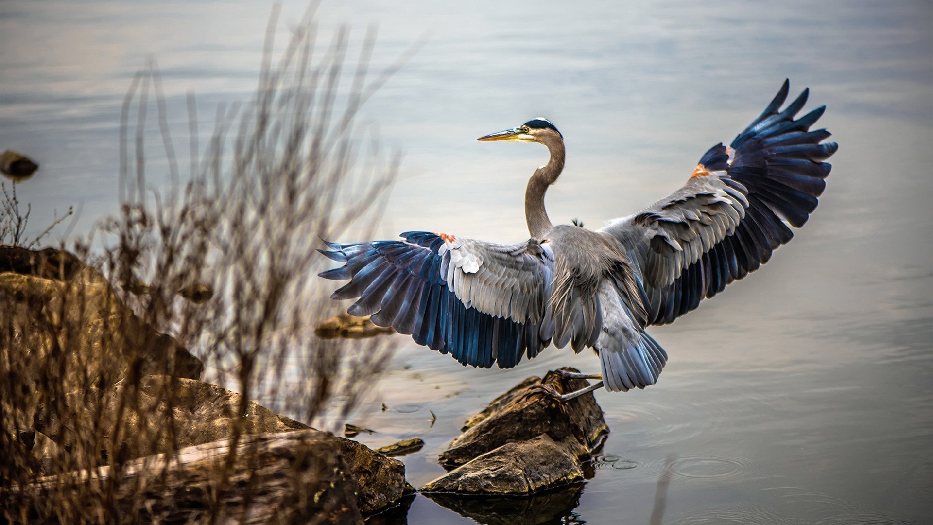 爱游戏综合娱乐-不莱梅队在客场比赛取得胜利，士气大涨，不莱梅二队