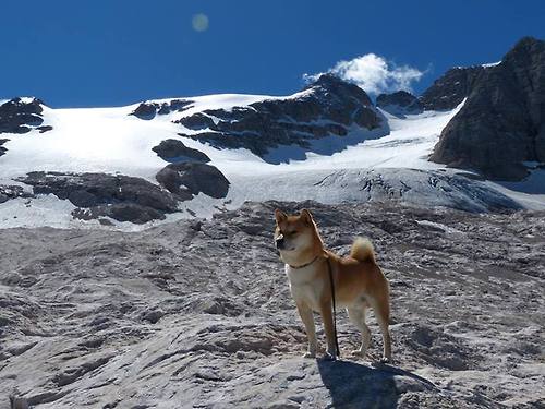 爱游戏-北马其顿罕见逆袭 欧预赛备战赢来新希望，北马其顿欧洲杯大名单公布