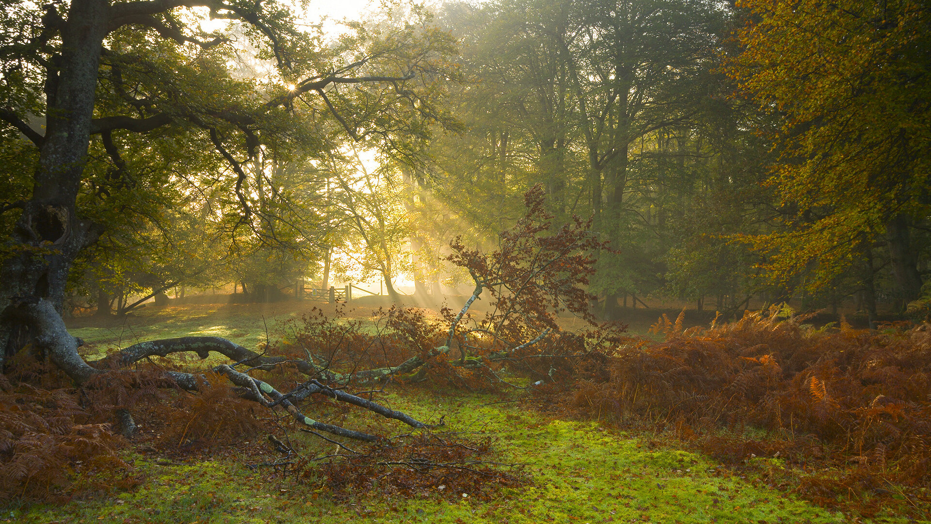 哈登连续助攻快船打出流畅进攻,哈登在快船打过球吗