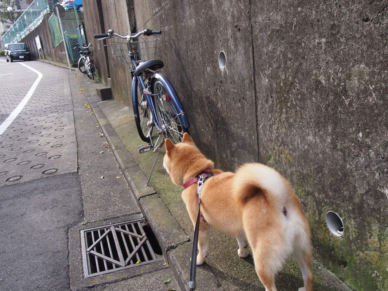 多特蒙德主场大胜,重回联赛前列,多特蒙德主场叫什么名字