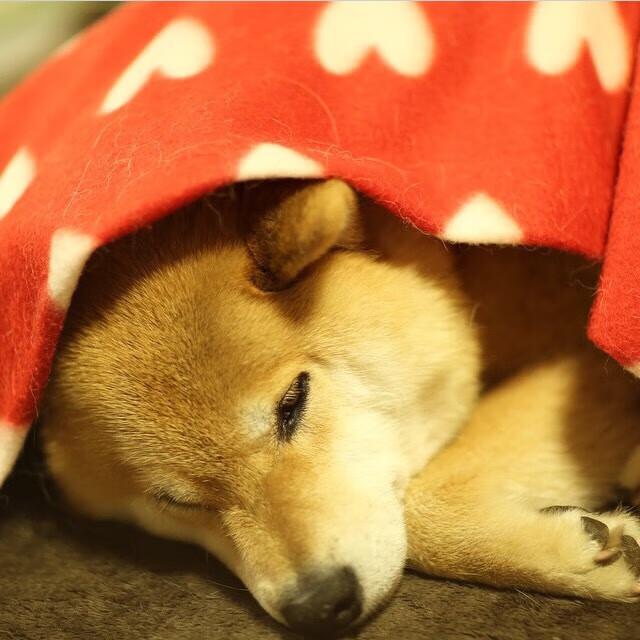 爱游戏官方网站-摩纳哥缺乏创造力，需加强进攻训练，摩纳哥首发