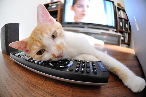 爱游戏平台-本菲卡球员状态火热，本菲卡出的球星