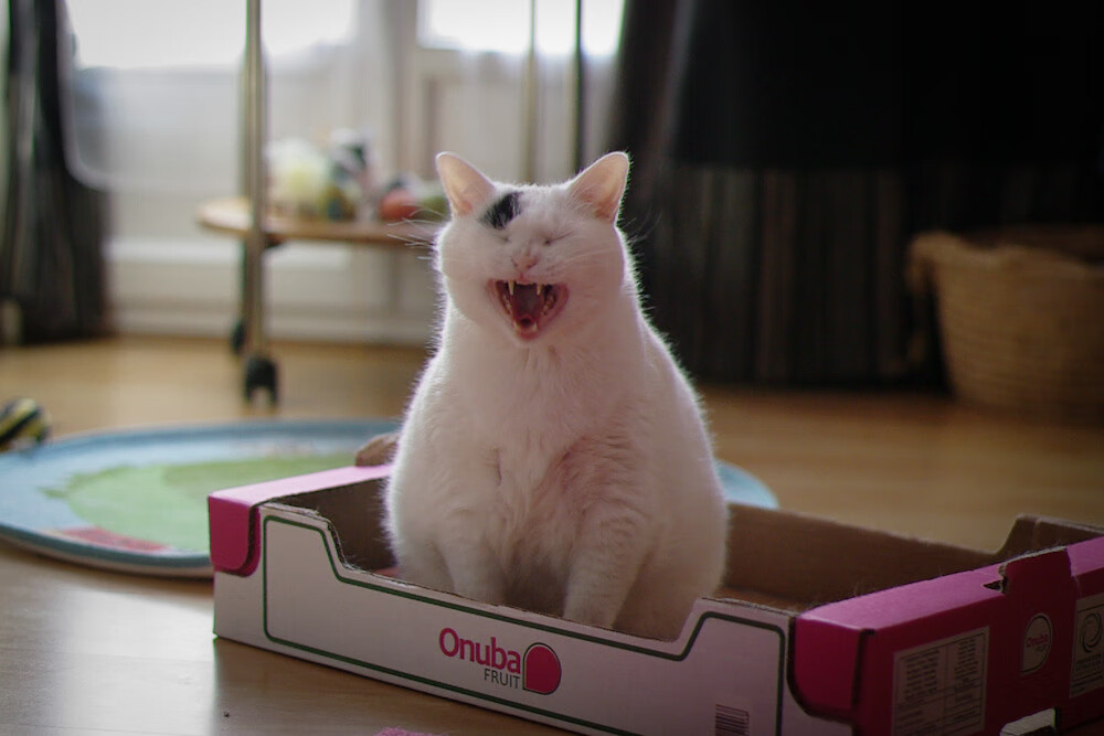 激烈竞争!豪门球队将在绿茵场上交锋,豪门足球球队