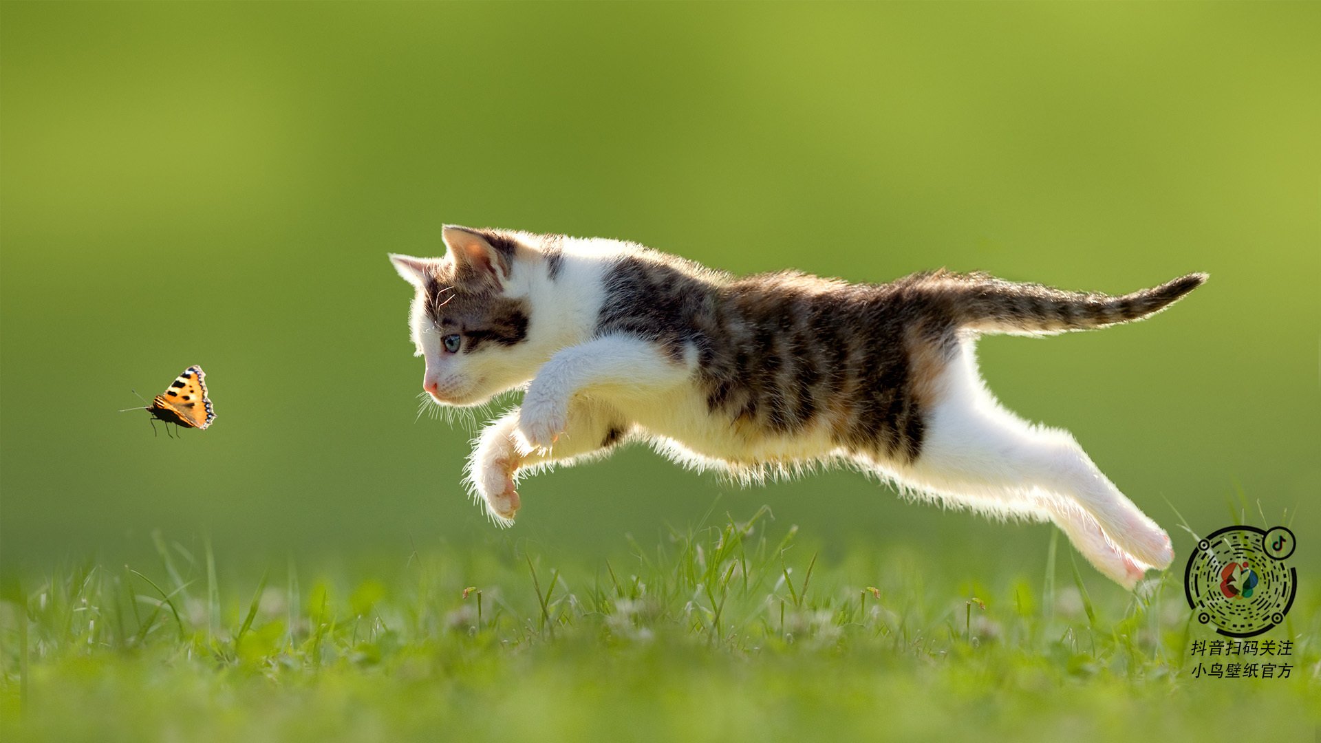 爱游戏中国官方网站平台-热议羽毛球赛制改革方案，羽毛球新赛制什么时候制定的