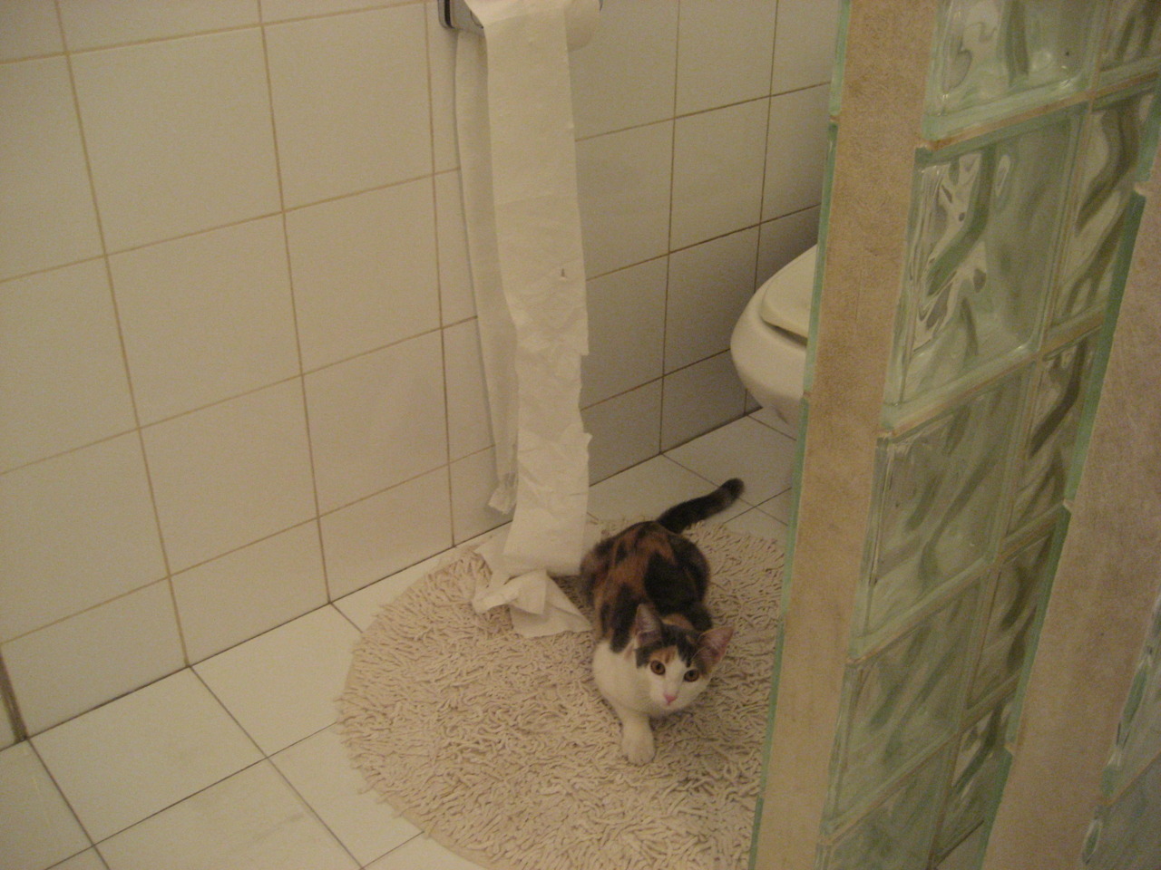 辽宁本钢冲击总冠军,状态正佳,辽宁本钢冠军是哪一年