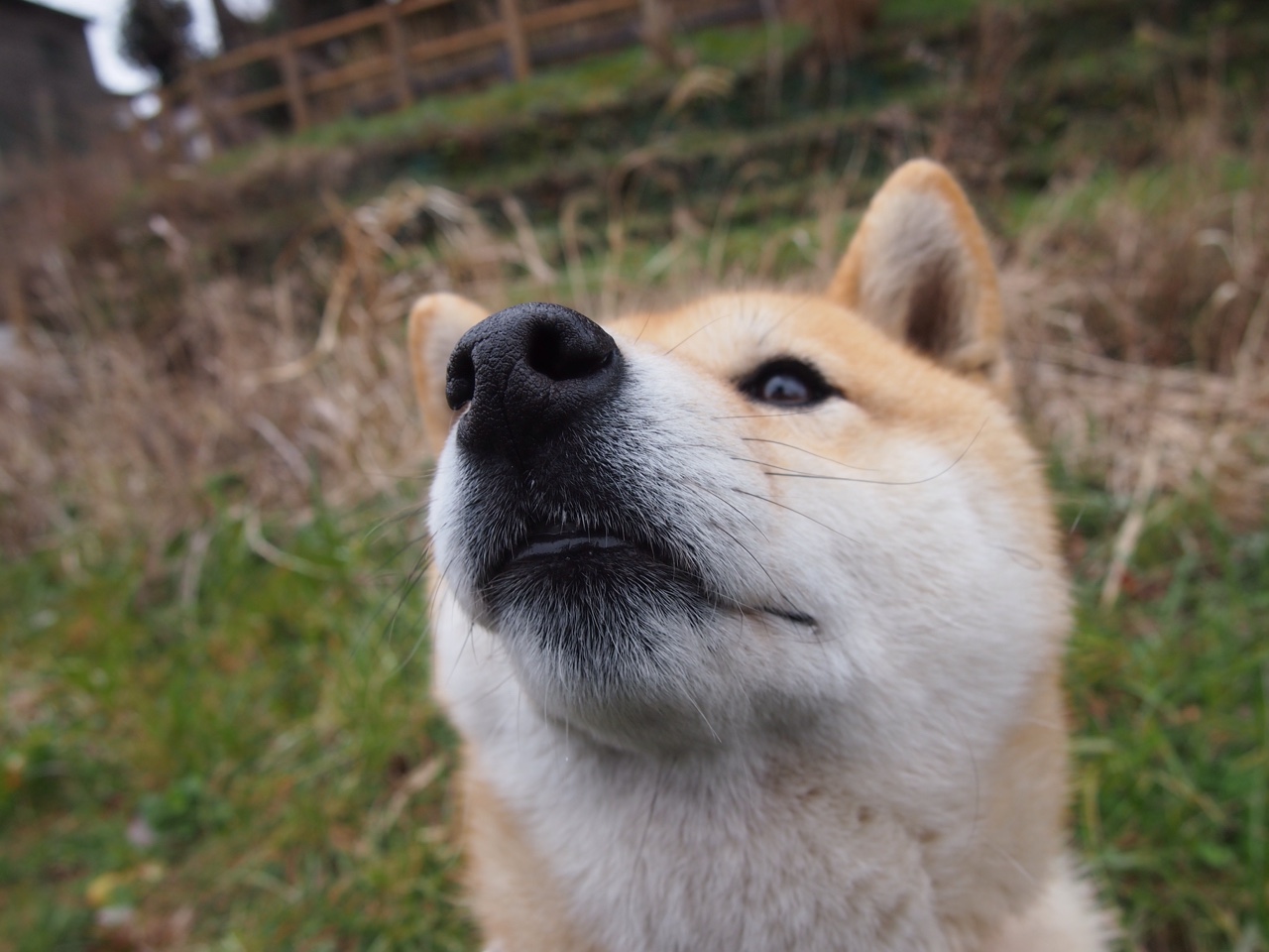 雷霆是否有机会杀入西部前三,雷霆是否有机会杀入西部前三的英雄