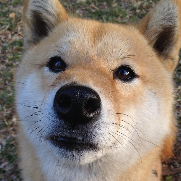 NBA赛季关键比赛复盘与总结,nba比赛阶段