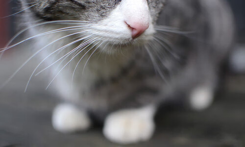 新闻中心再获科技创新荣誉,科技创新新闻稿