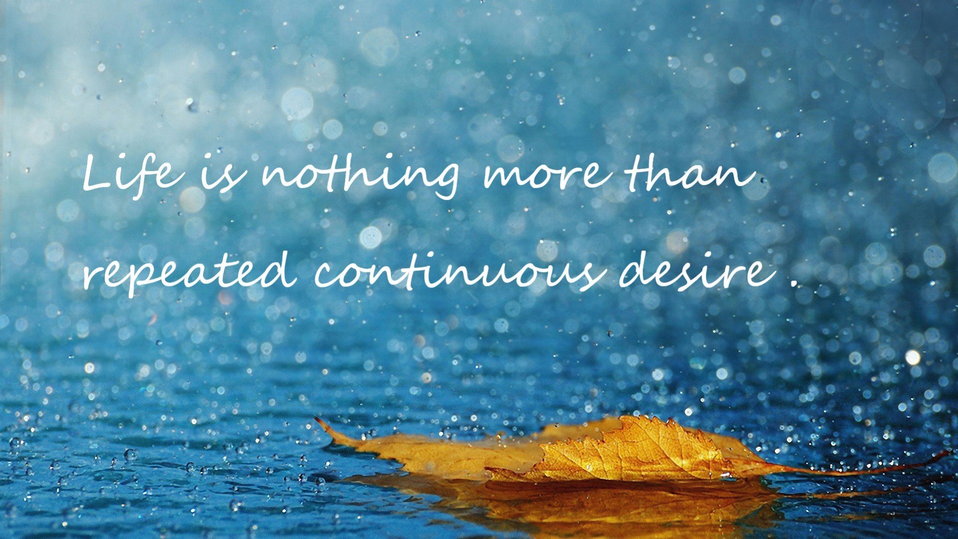 沃尔夫斯堡快速推进撬动对方防线漏洞,沃尔夫斯堡市