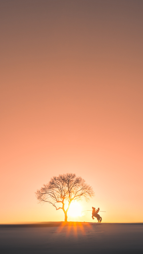 球迷社区:质疑尤文全力出战动机与教练决策,尤文官宣球队新主帅