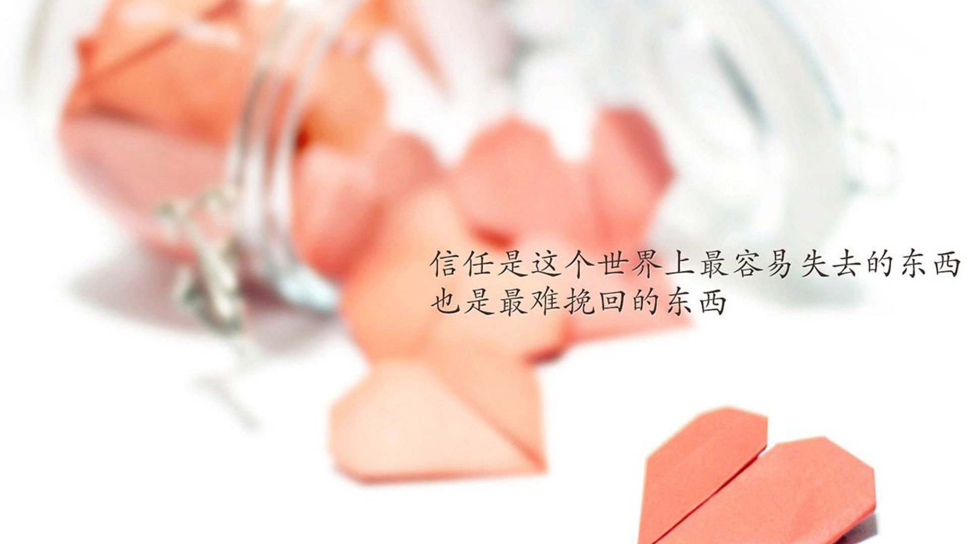 “马科斯·莫奇:阿根廷美洲狮队的防守铁闸,未来光明”