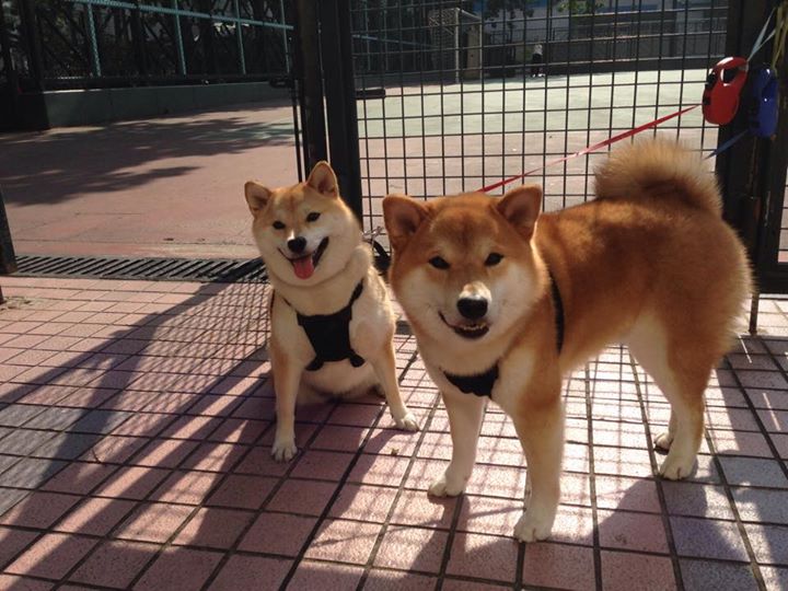 爱游戏综合娱乐-布克强调赛前沟通是太阳稳定发挥基础