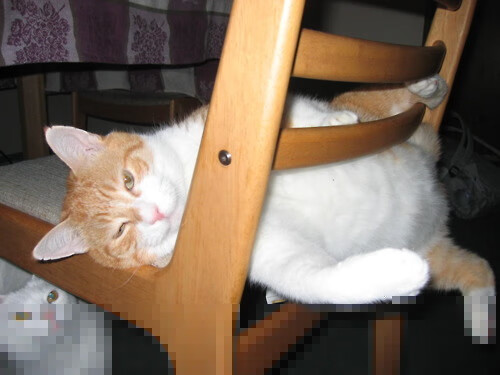 爱游戏app-校园足球加入跨年联赛模式延长实战训练周期，本次校园足球比赛赛制