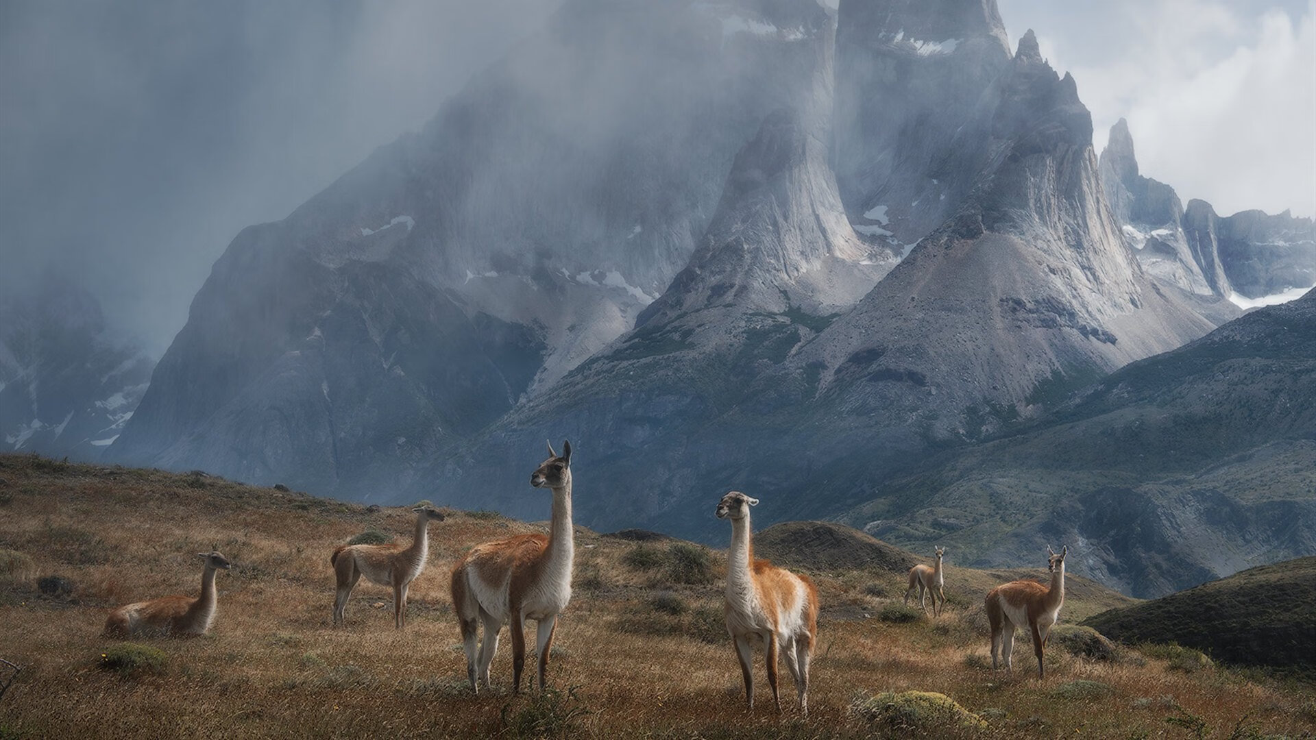 AYX体育官网-法甲青训出品明星球员，法甲青训排名