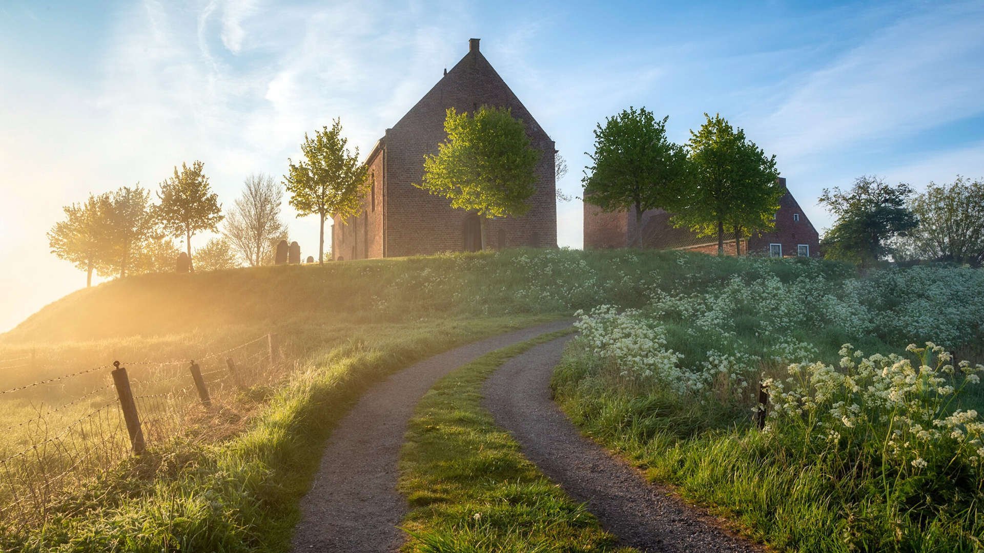 AYX体育官网-青训项目吸引大量年轻球员，威尔士橄榄球未来可期，威尔士球员介绍