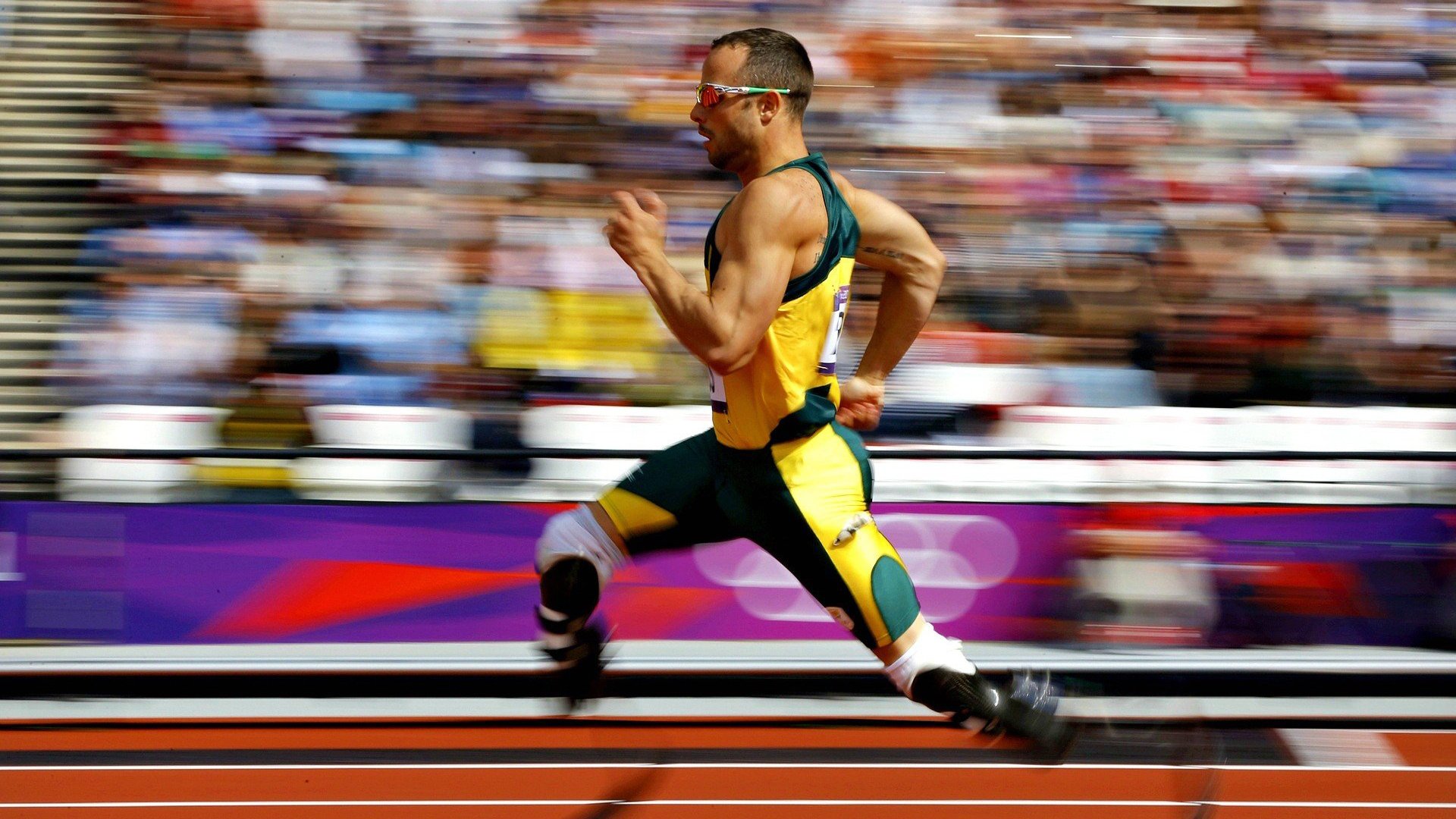 美国乒乓队未来发展战略：如何打破传统，打造世界级队伍，美国乒乓球运动